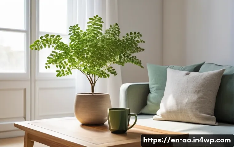 소비 문화에 대한 대안적 접근 - **Prompt**: "A cozy, minimalist living room bathed in soft, natural sunlight streaming through a lar...